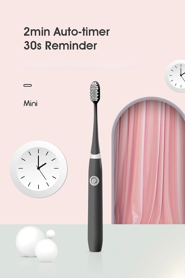 Hot Selling Rechargeable Toothbrush Small Sonic Electric Toothbrush Cheapest