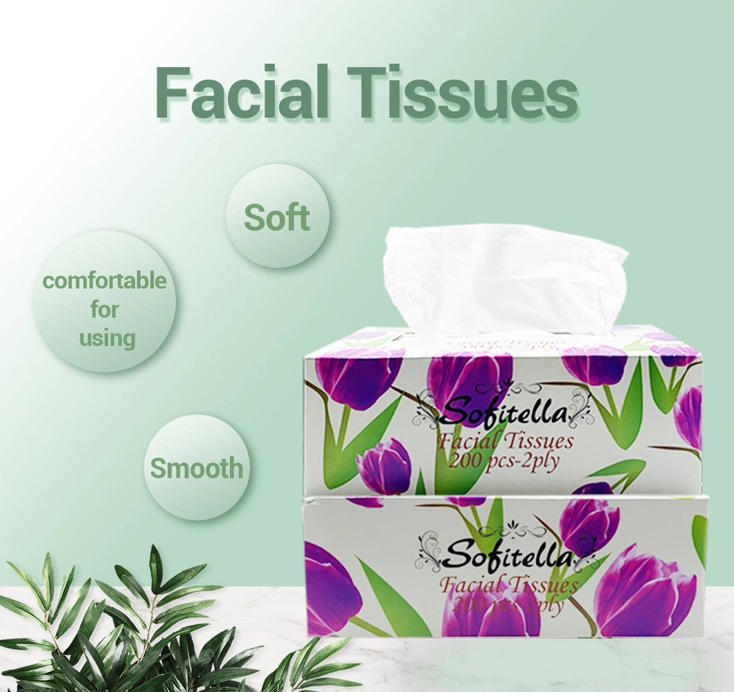 Soft Pure Natural Paper Facial Tissue Wet and Dry Available Disposable Face Wipes