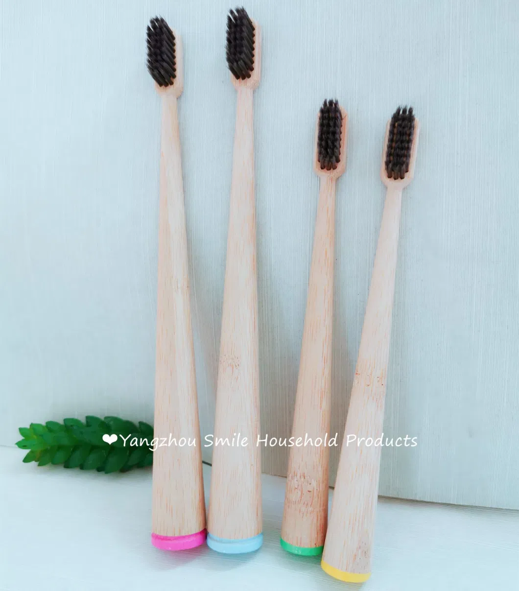 Biodegradable New Active Charcoal Bamboo Toothbrush with Painting
