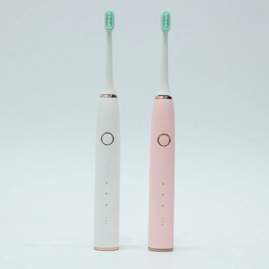 Waterproof High Performance Vibration Portable Travel Oral Hygiene Clean Teeth Whitening Foldable Electric Toothbrush