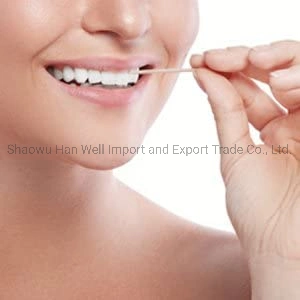 Disposable Tasteless Convenient Dental Floss Toothpicks for Teeth Cleaning