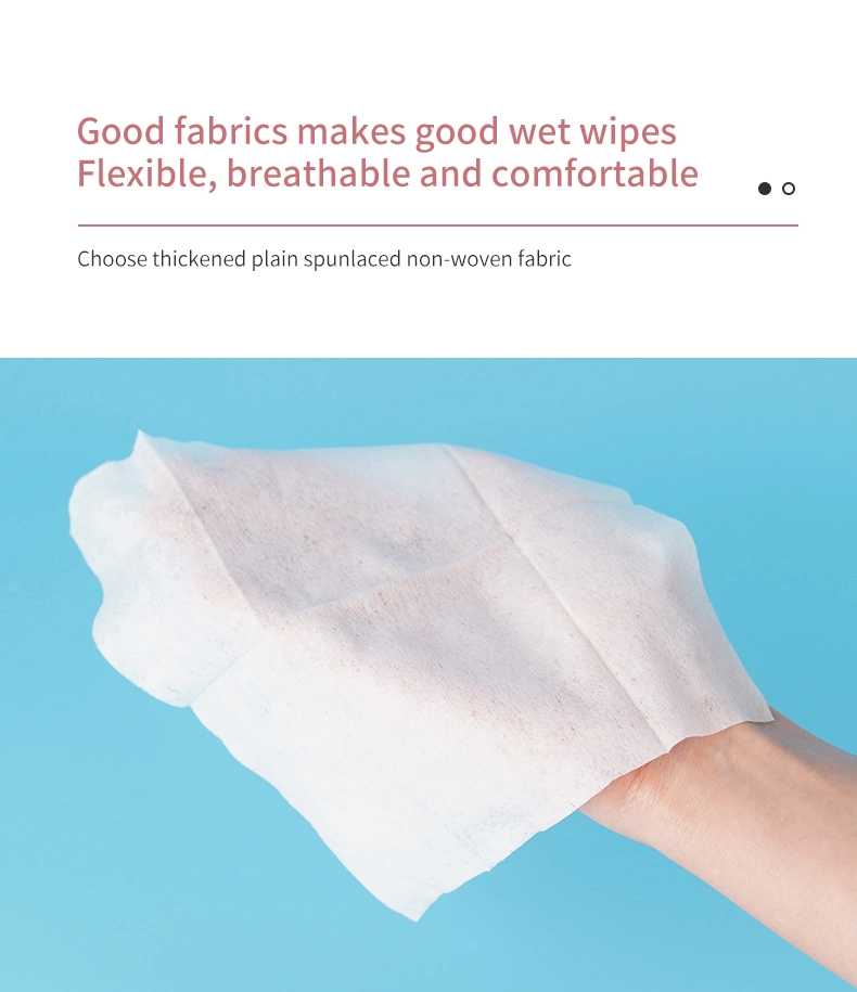 Baby Wipes Hot Sell Cheap OEM Best Quality Cleaning Organicbaby Wipes Manufacturer Baby Wet Wipes