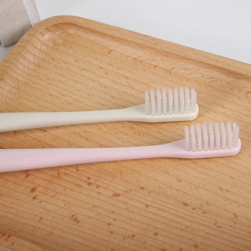 Japanese Imprinted Macaron 10 Toothbrushes with Adult Soft Bristles