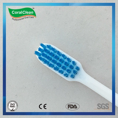 Small Head Colorized DuPont Bristles Toothbrush