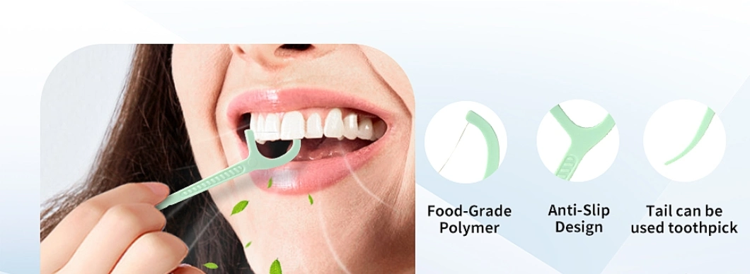 Private Label Biodegradable Toothpick Disposable Oral Bamboo Plastic Flosser Stick Dental Floss Pick