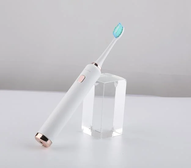3/5 Models Ipx8 Waterproof Dental Clinic Oral Care Electric Toothbrush