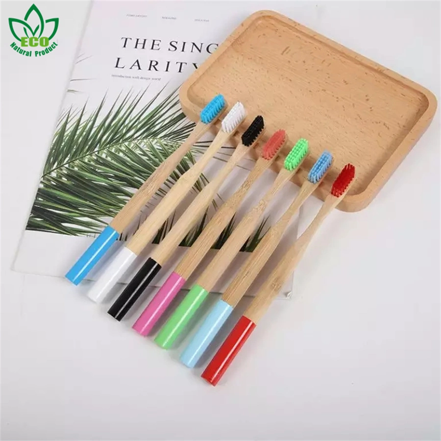 Colorful Round Head Adult Toothbrushes Zero Waste Wood Teeth Brush Oral Hygiene