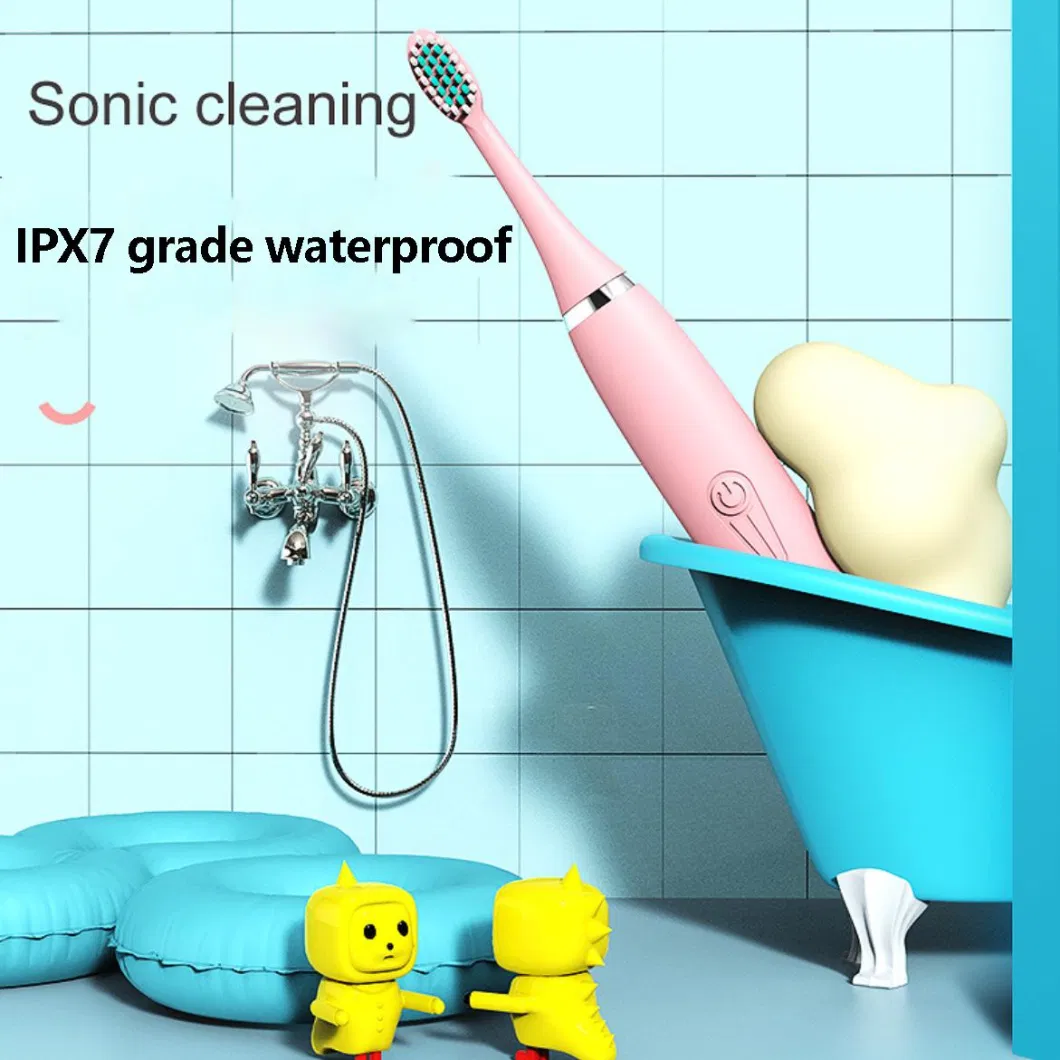 Professional Wholesale Ipx7 Waterproof Sonic Toothbrush Adult Rechargeable Electric Toothbrush