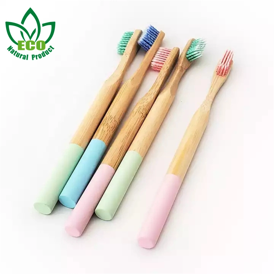 Ecological Sustainable Bamboo Toothbrush with New Painted Round Handle