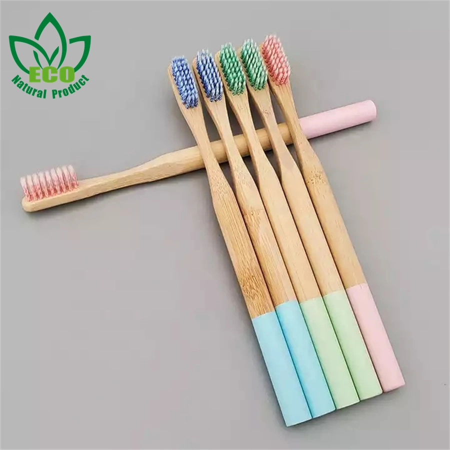 Ecological Sustainable Bamboo Toothbrush with New Painted Round Handle