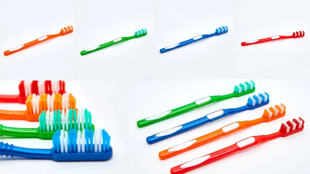 Dental Care Nylon Bristle Toothbrush