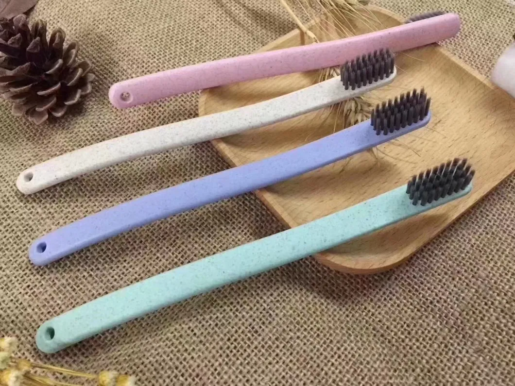 Biodegradable Toothbrush in Sachet for Hotel Room Using