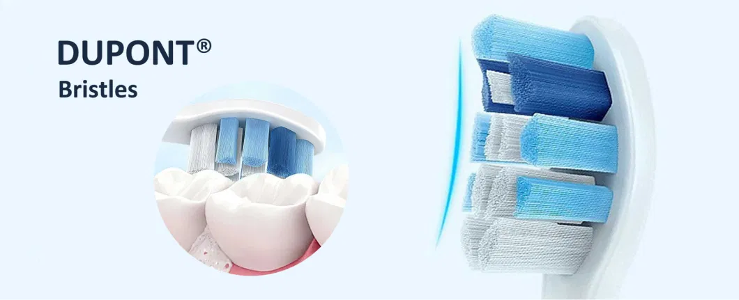 Replacement Toothbrush Heads Compatible with Oral B