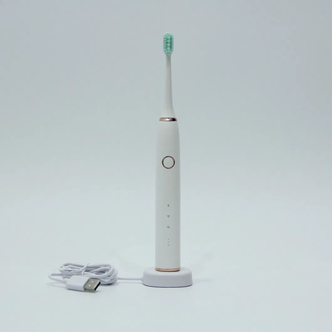 Waterproof High Performance Vibration Portable Travel Oral Hygiene Clean Teeth Whitening Foldable Electric Toothbrush