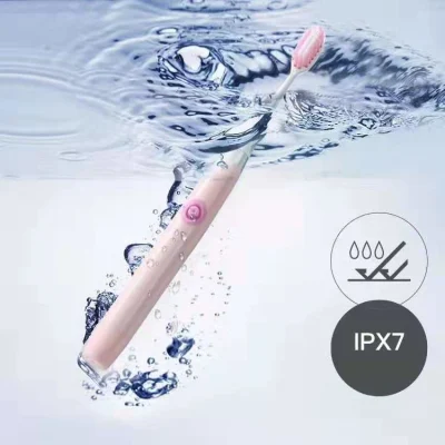  Js103 piccolo spazzolino elettrico DuPont Brush Head Kid Adulti