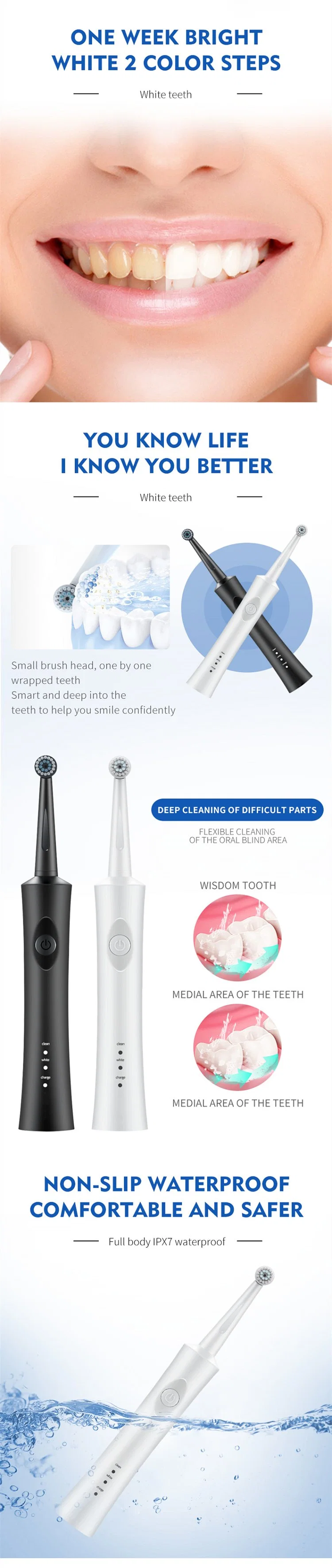 Customizable OEM&ODM Round Toothbrush Head Ipx7 Waterproof Oscillating Electric Toothbrush