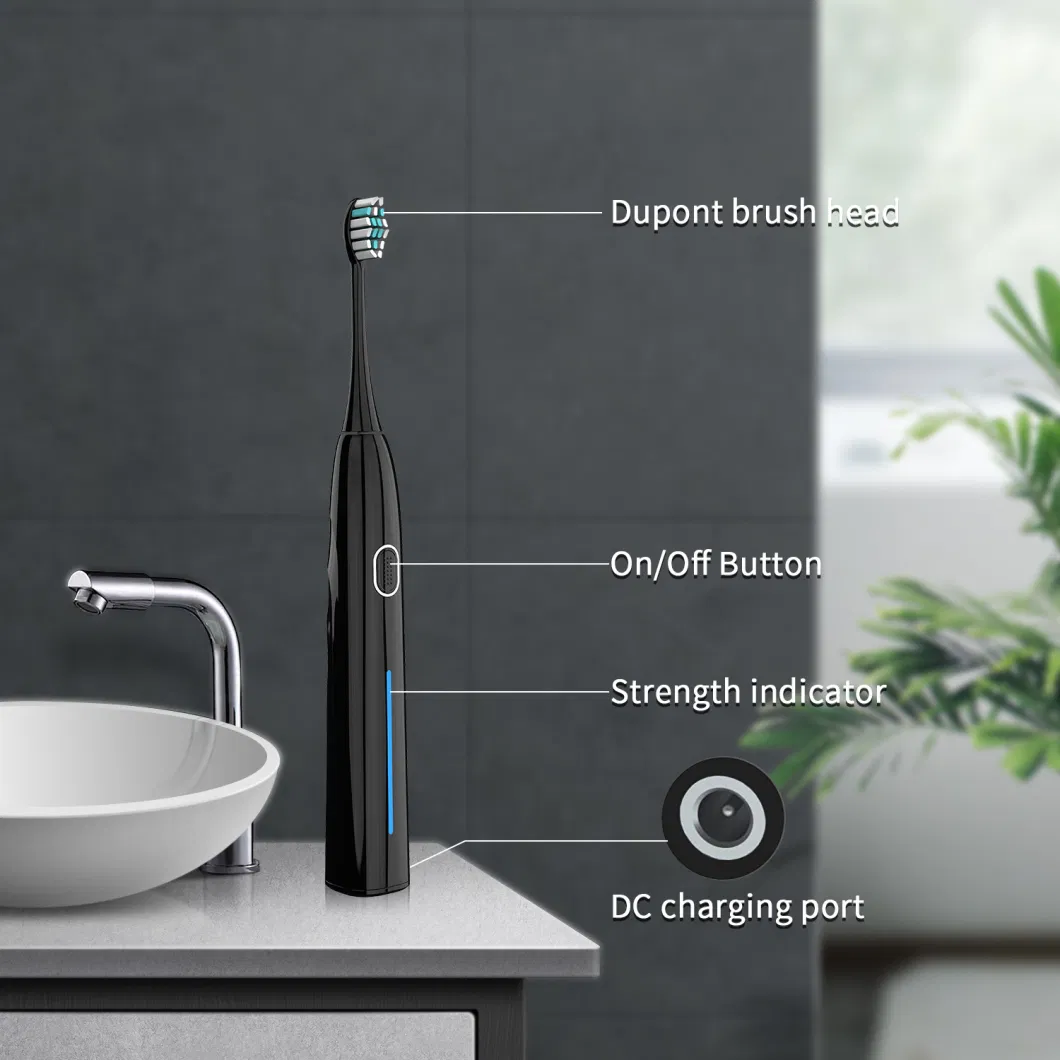 Tooth Brush Sonic Electric Toothbrush for Adult