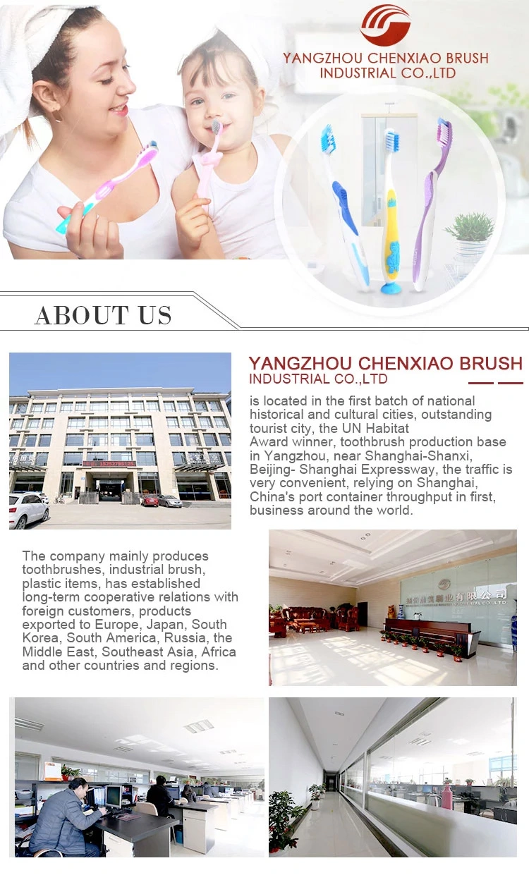 13 Years Experience in Professional Adult Children Wholesale Toothbrush Manufacturer