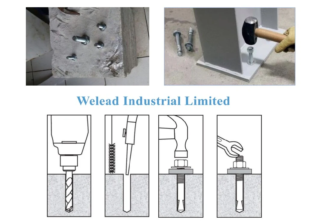 Wholesale Wedge Anchor Through Bolt Nut Heavy Duty Expansion Concrete Fastener Carbon Steel Thread Zinc Galvanization China Factory