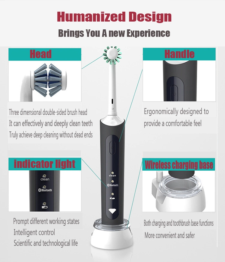 OEM Wholesale New Arrivals Electric Toothbrush New Toothbrush