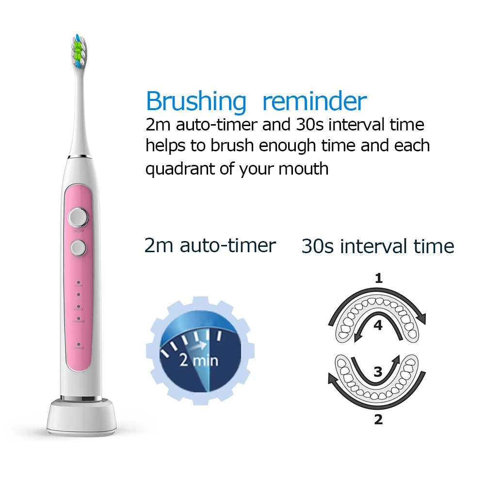 Wholesale Rechargeable Adult Automatic Sonic Electric Toothbrush with Soft Toothbrush Heads