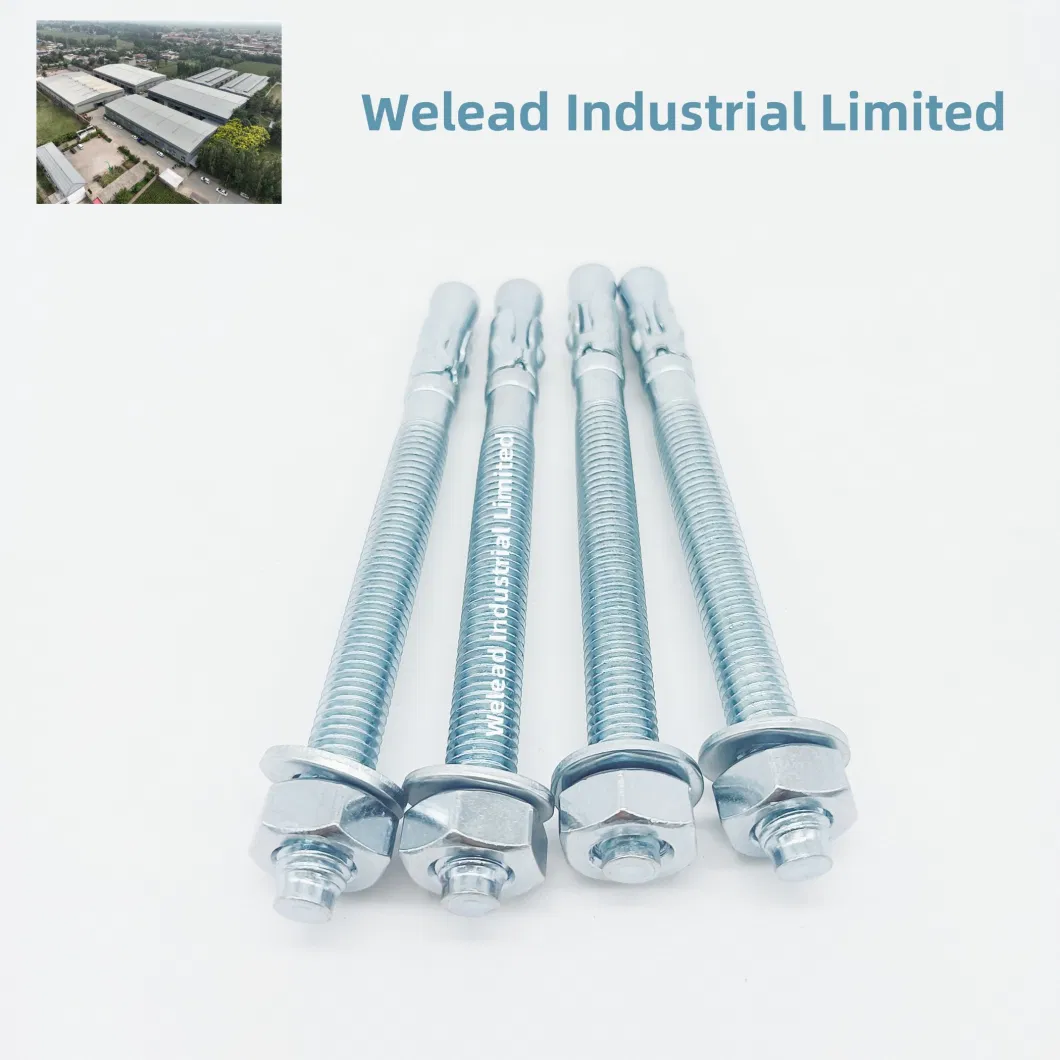 Wholesale Wedge Anchor Through Bolt Nut Heavy Duty Expansion Concrete Fastener Carbon Steel Thread Zinc Galvanization China Factory