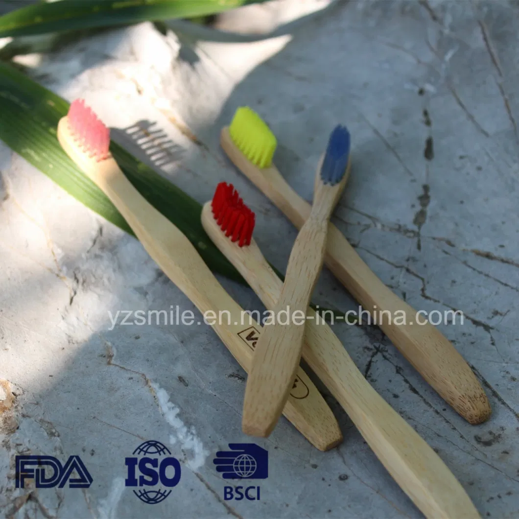Professional Supplier 100% Pure Natural FDA Bamboo Toothbrush