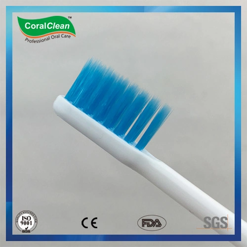 Small Head Colorized DuPont Bristles Toothbrush