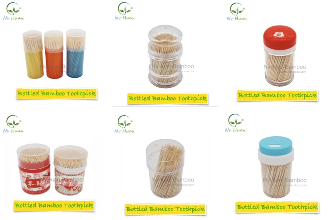 Bamboo Toothpicks with Portable Case for Dental Use