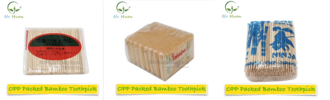 Bamboo Toothpicks with Portable Case for Dental Use