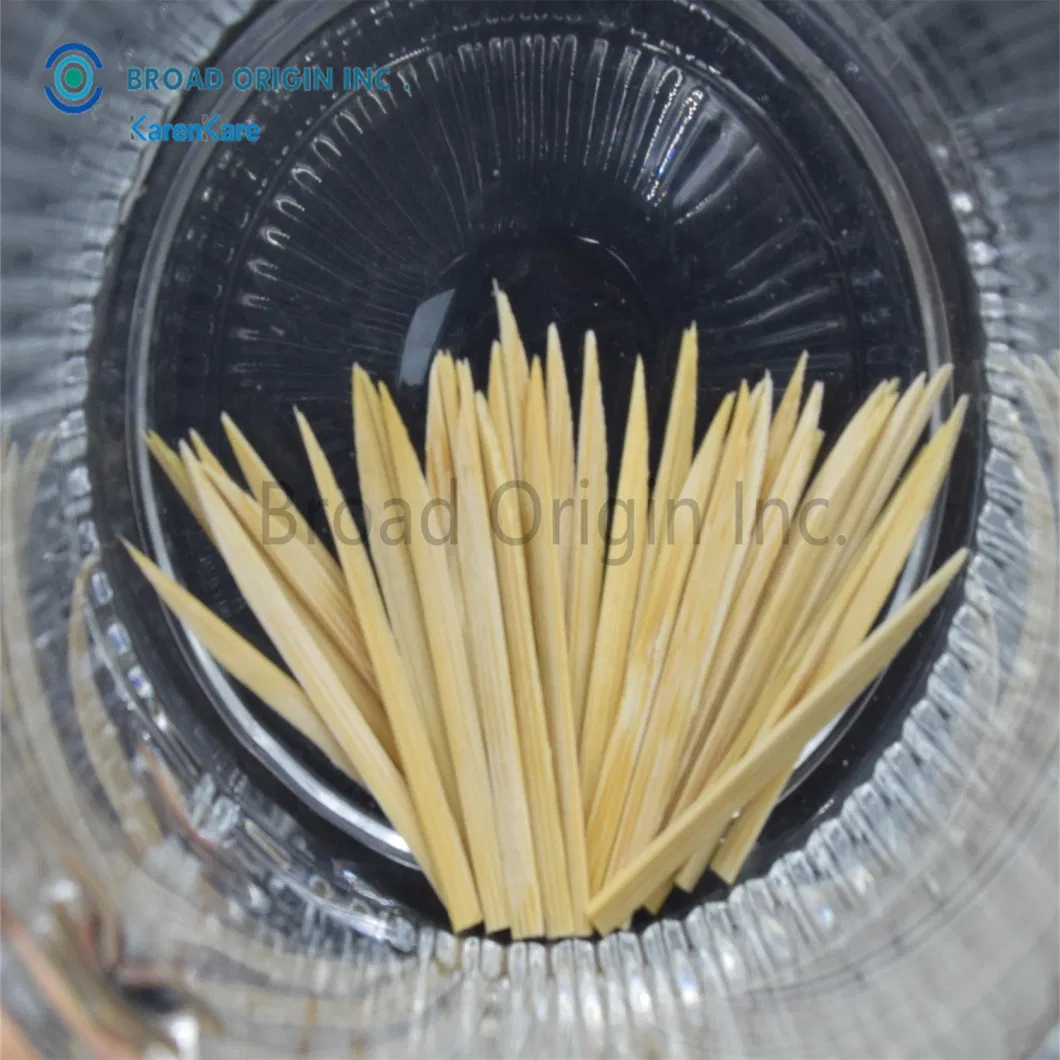 Eco-Friendly Bamboo Toothpicks Wooden for Teeth Cleaning Toothbrush