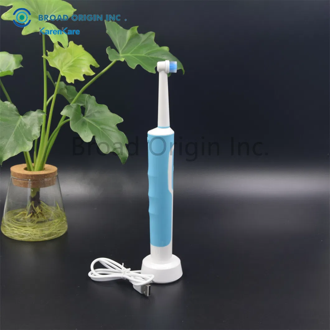 BSCI Approved Personalized Sonic Electric Toothbrush with 2PCS Toothbrush Head Electric Toothbrush Motor Electric