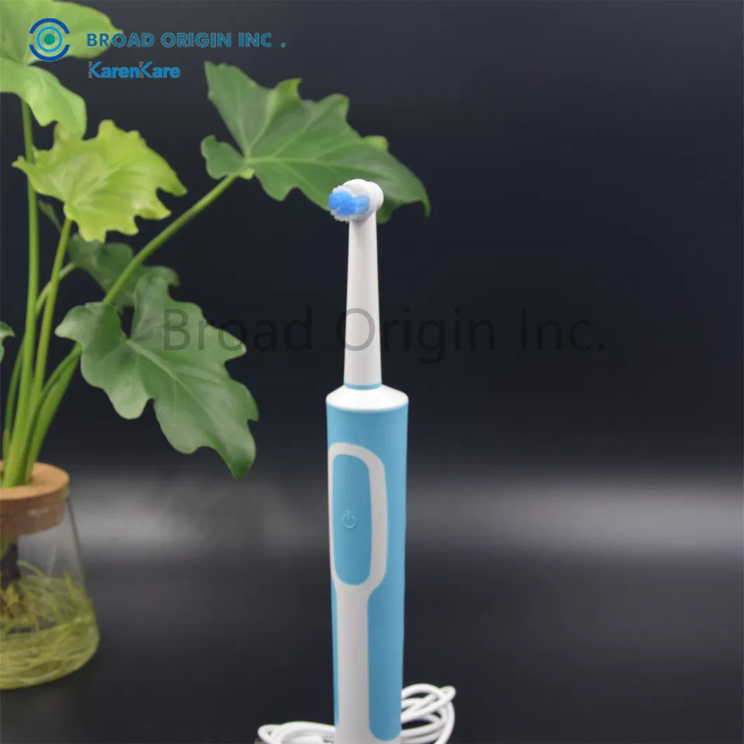 BSCI Approved Personalized Sonic Electric Toothbrush with 2PCS Toothbrush Head Electric Toothbrush Motor Electric