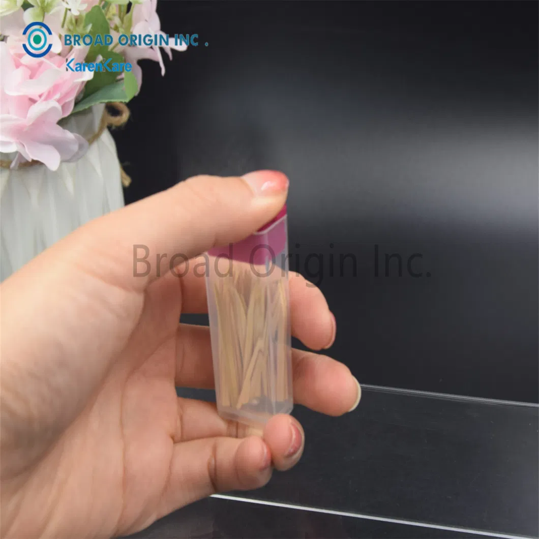 Eco-Friendly Bamboo Toothpicks Wooden for Teeth Cleaning Toothbrush