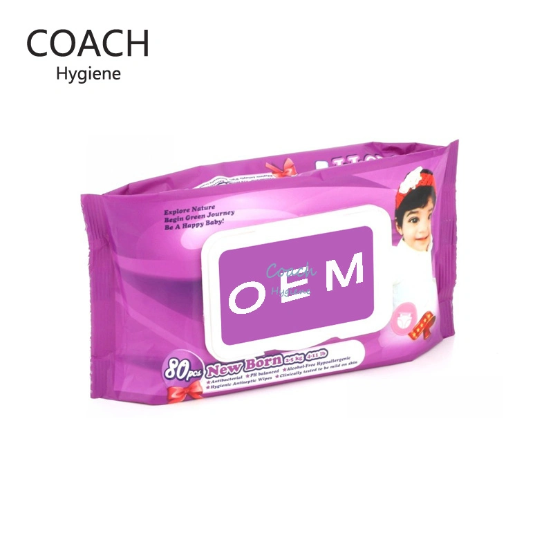 OEM 80 PCS Price Products Box Private Label Newborn Packaging Travel Diapers Secret Mosquito Pack Wholesale Soft Care Baby Wipes