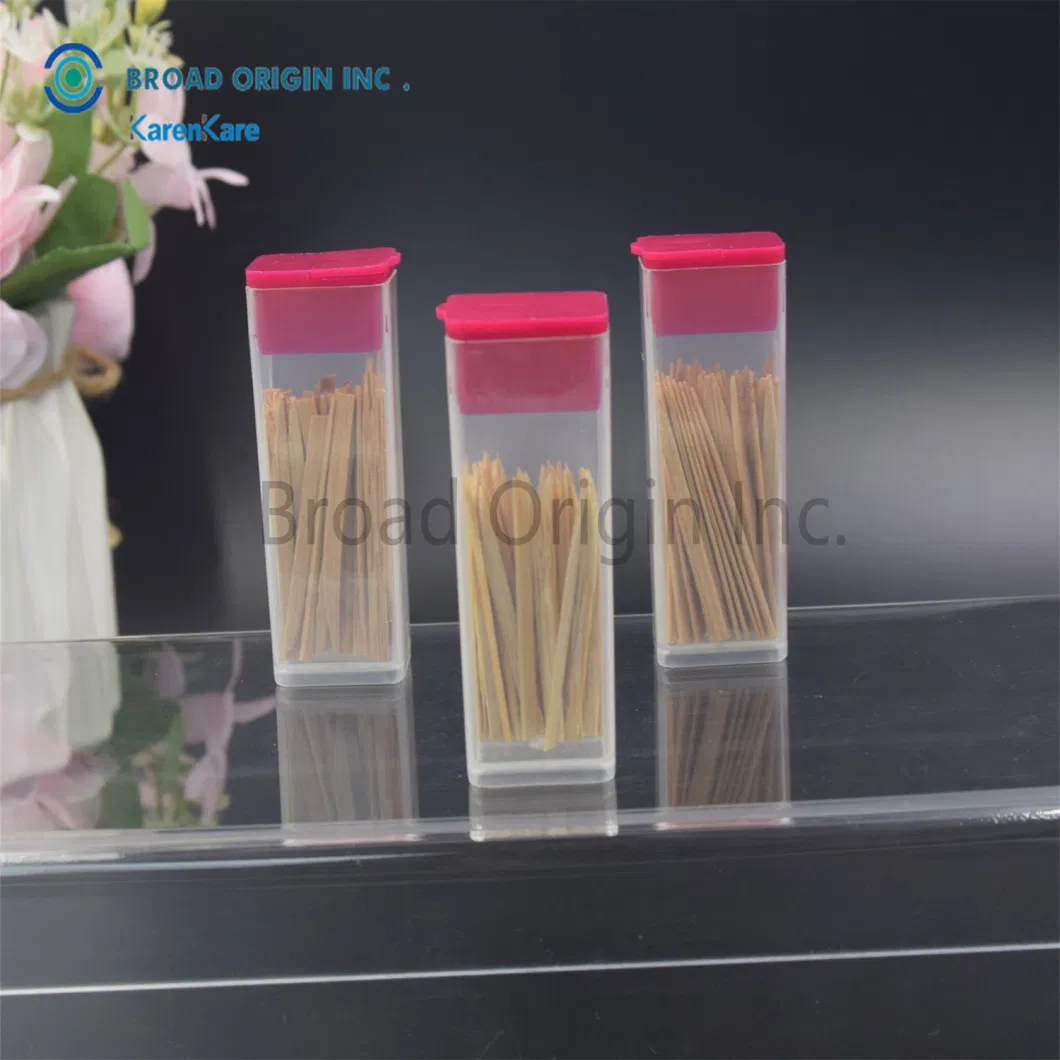 Eco-Friendly Bamboo Toothpicks Wooden for Teeth Cleaning Toothbrush