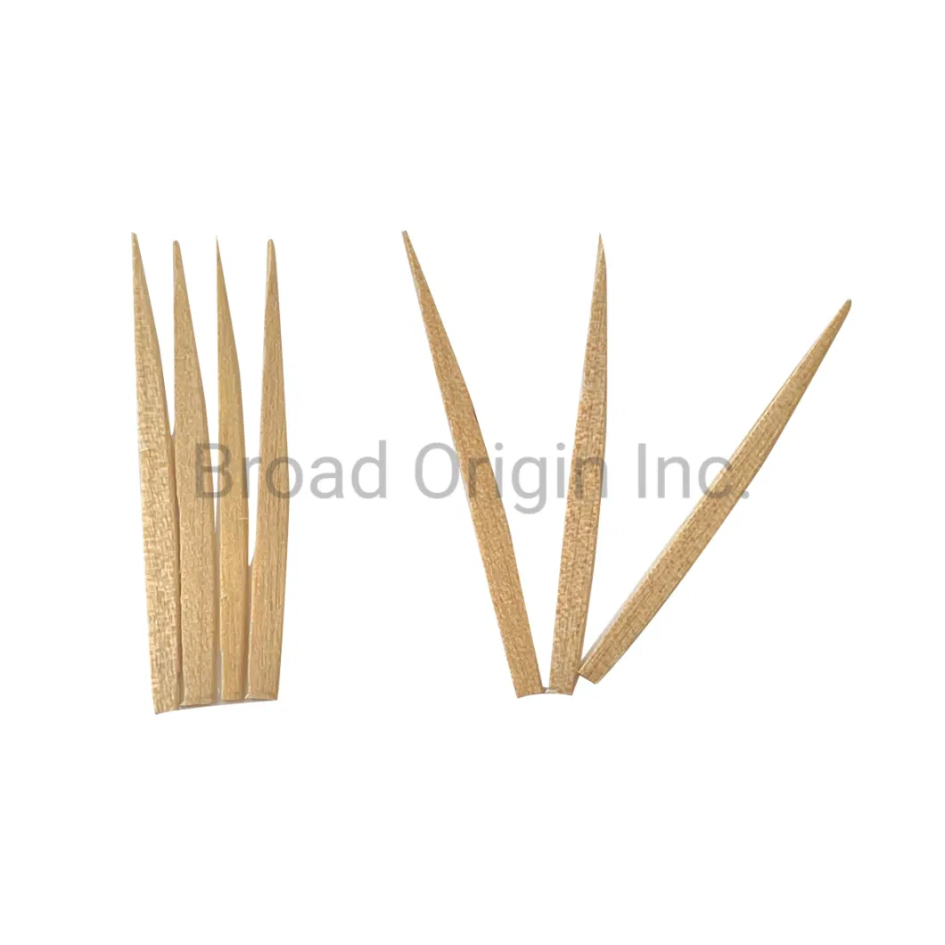 Eco-Friendly Bamboo Toothpicks Wooden for Teeth Cleaning Toothbrush