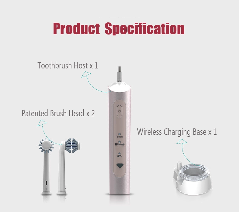 OEM Wholesale New Arrivals Electric Toothbrush New Toothbrush