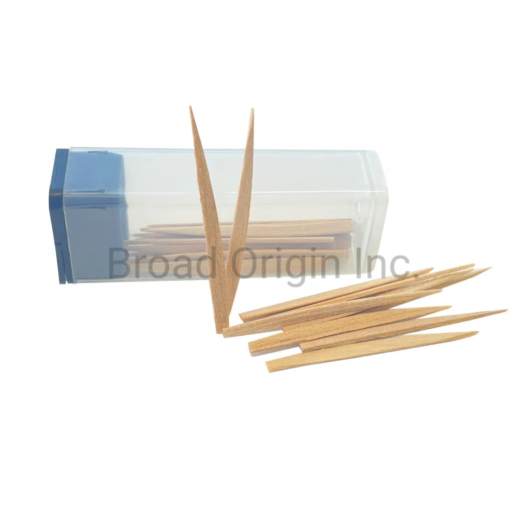 Eco-Friendly Bamboo Toothpicks Wooden for Teeth Cleaning Toothbrush