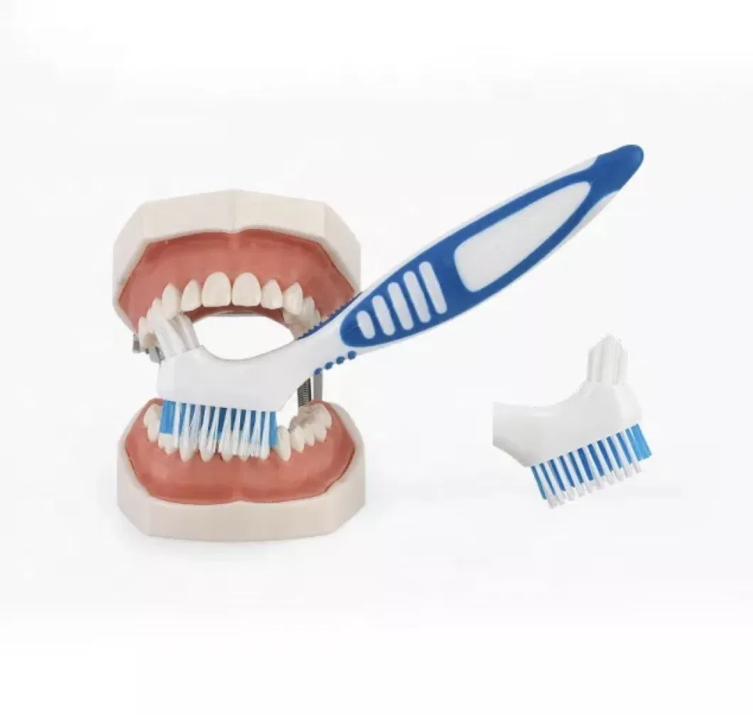 Wholesale New Design Double Side Denture Toothbrush for False Teeth OEM