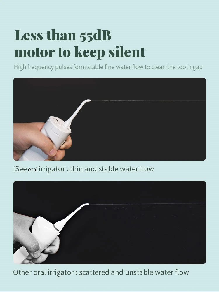 OEM White Moon Rabbit Electric Oral Irrigator Water Dental Flosser