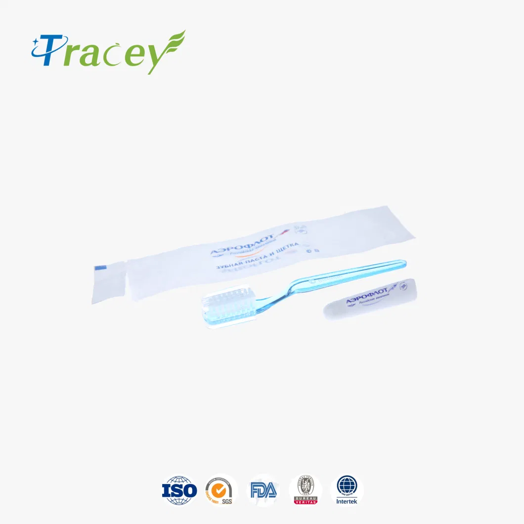 Dental Kit Cheap Hotel Disposable Toothbrush with Toothpaste Travel/Airline Toothbrush