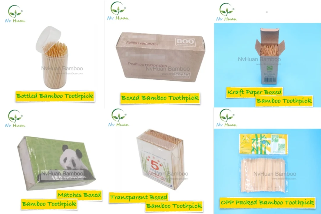 Bamboo Toothpicks with Portable Case for Dental Use