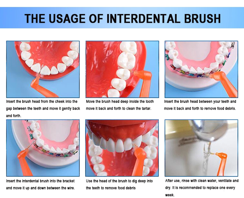 Box Package Interdental Brush Cepillo Dental De Ortodoncia Interdent Brush Oral Care