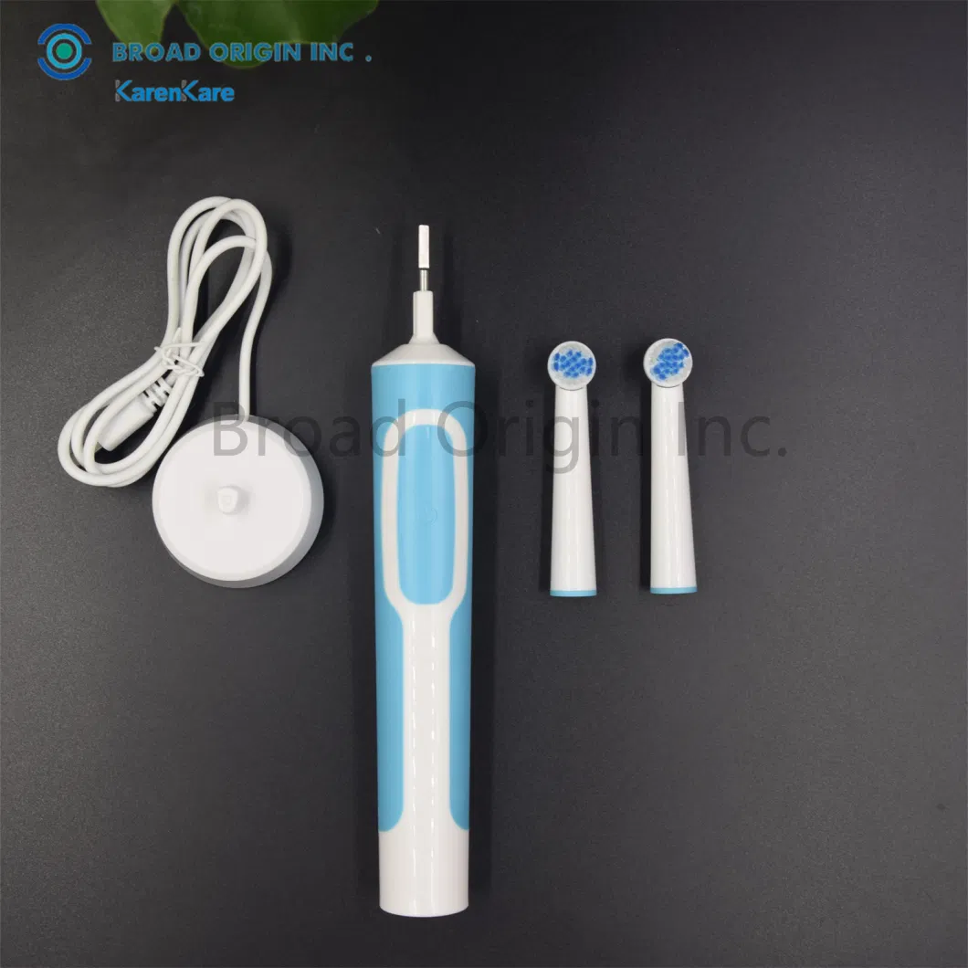 BSCI Approved Personalized Sonic Electric Toothbrush with 2PCS Toothbrush Head Electric Toothbrush Motor Electric