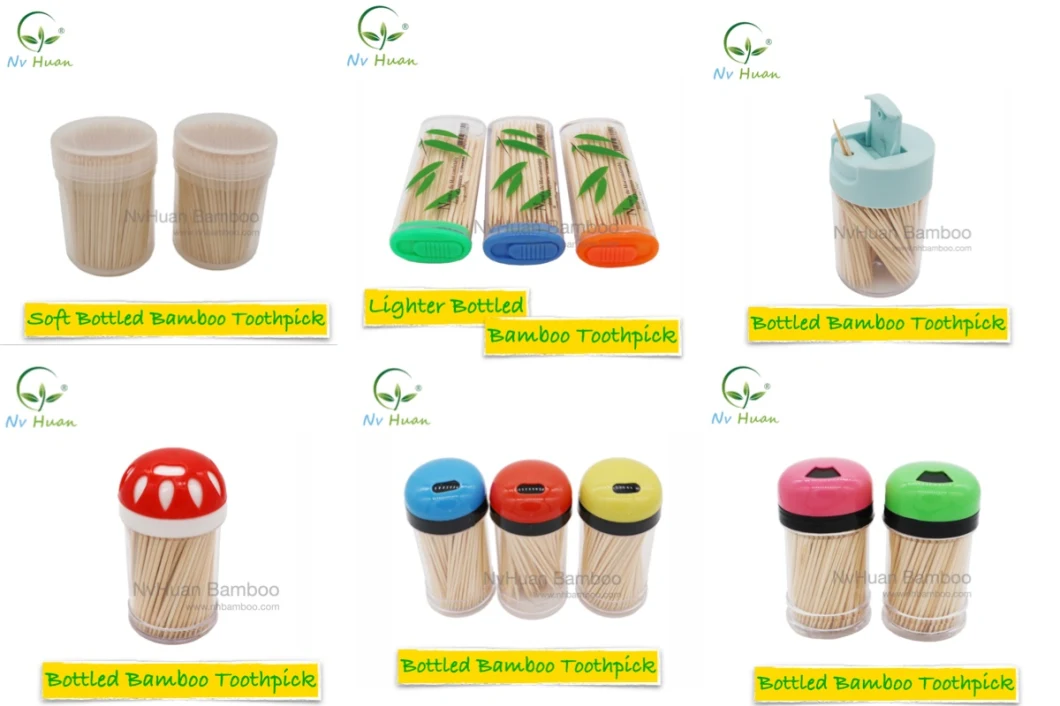 Bamboo Toothpicks with Portable Case for Dental Use