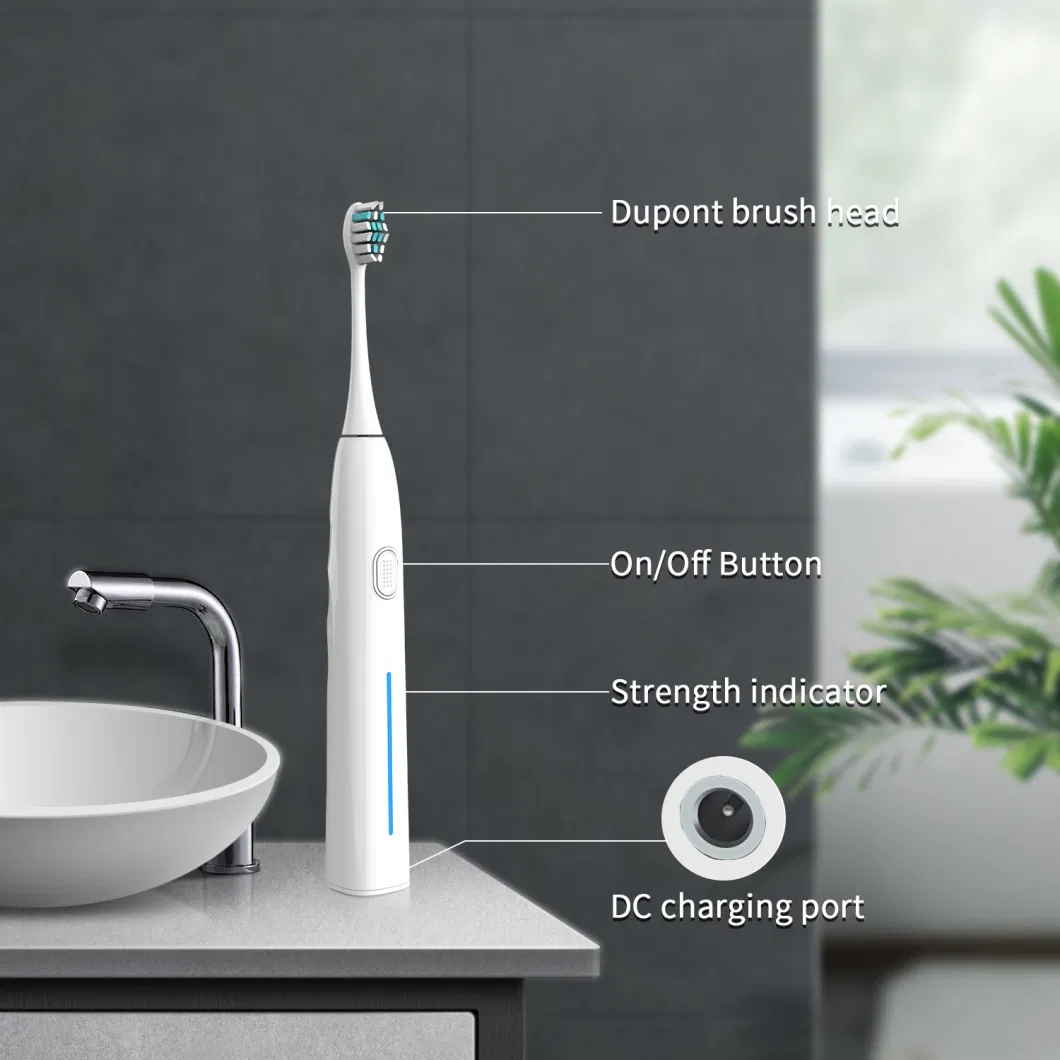 Tooth Brush Sonic Electric Toothbrush for Adult