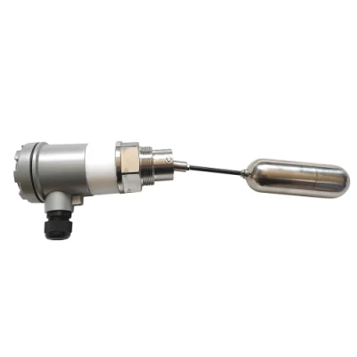 China Cheap Side Mounted Float Level Switch for Petrochemical