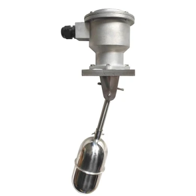 China Cheap Side Mounted Float Level Switch for Petrochemical