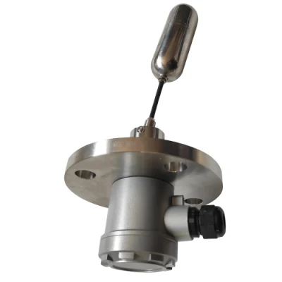 China Cheap Side Mounted Float Level Switch for Petrochemical